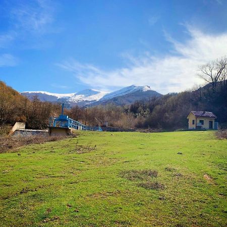 Villa Orka Pelister - Forest Zone Manastır Dış mekan fotoğraf