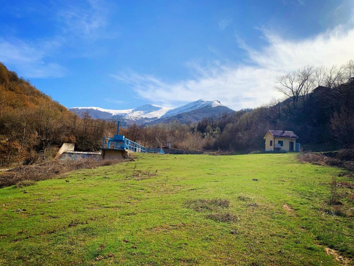 Villa Orka Pelister - Forest Zone Manastır Dış mekan fotoğraf