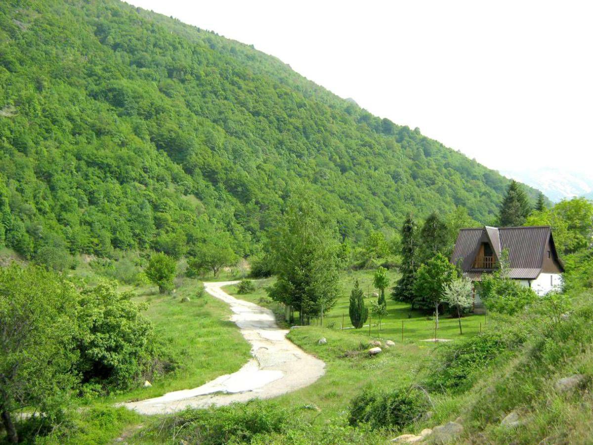 Villa Orka Pelister - Forest Zone Manastır Dış mekan fotoğraf