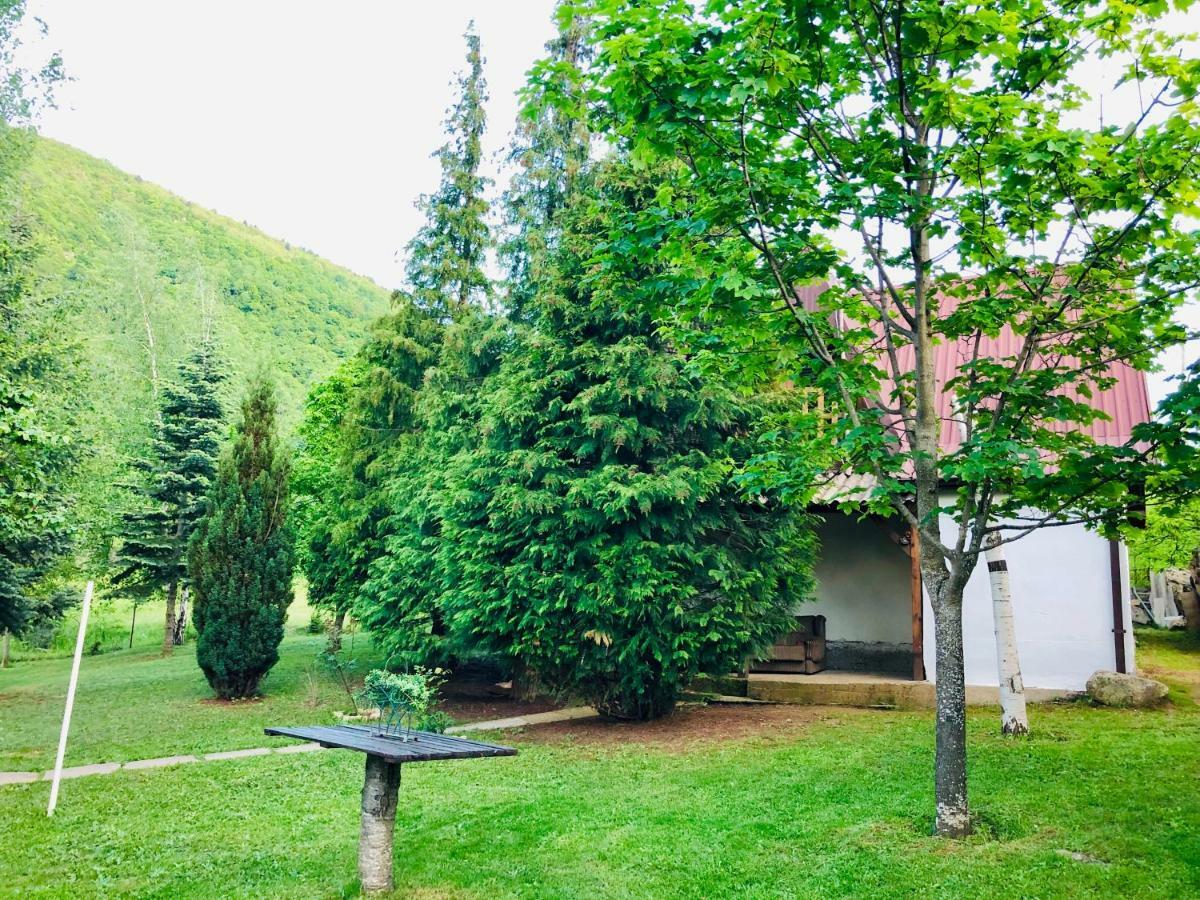 Villa Orka Pelister - Forest Zone Manastır Dış mekan fotoğraf