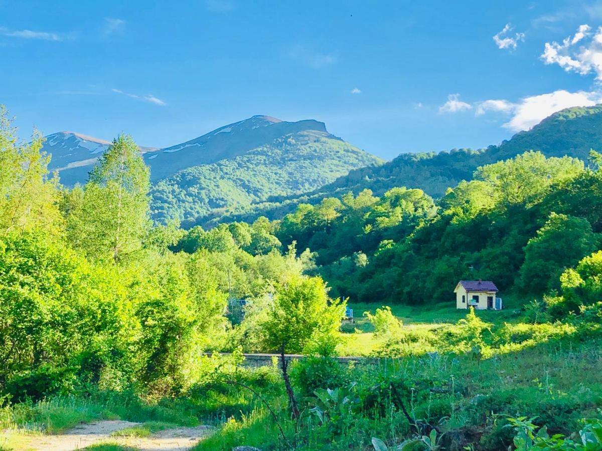 Villa Orka Pelister - Forest Zone Manastır Dış mekan fotoğraf