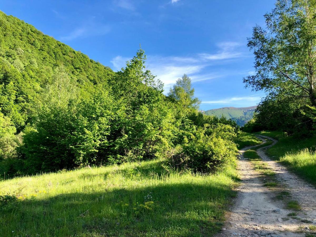 Villa Orka Pelister - Forest Zone Manastır Dış mekan fotoğraf