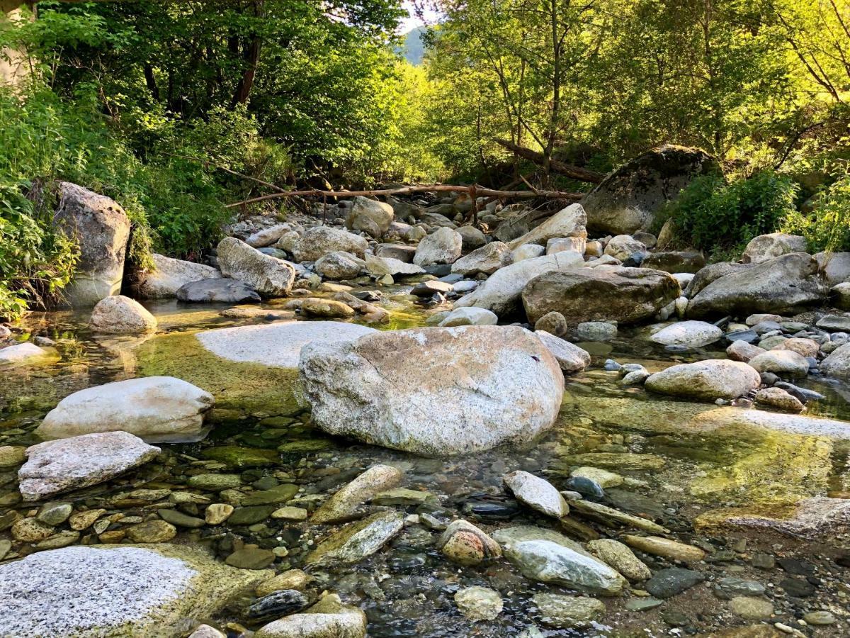Villa Orka Pelister - Forest Zone Manastır Dış mekan fotoğraf