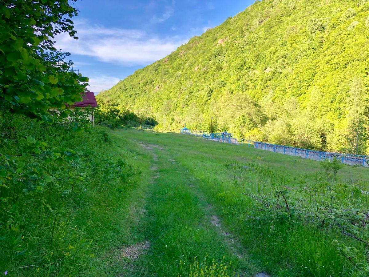 Villa Orka Pelister - Forest Zone Manastır Dış mekan fotoğraf