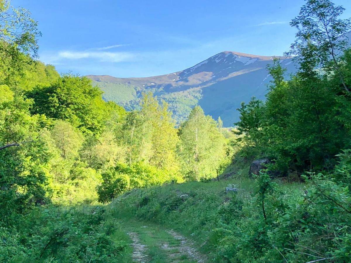 Villa Orka Pelister - Forest Zone Manastır Dış mekan fotoğraf