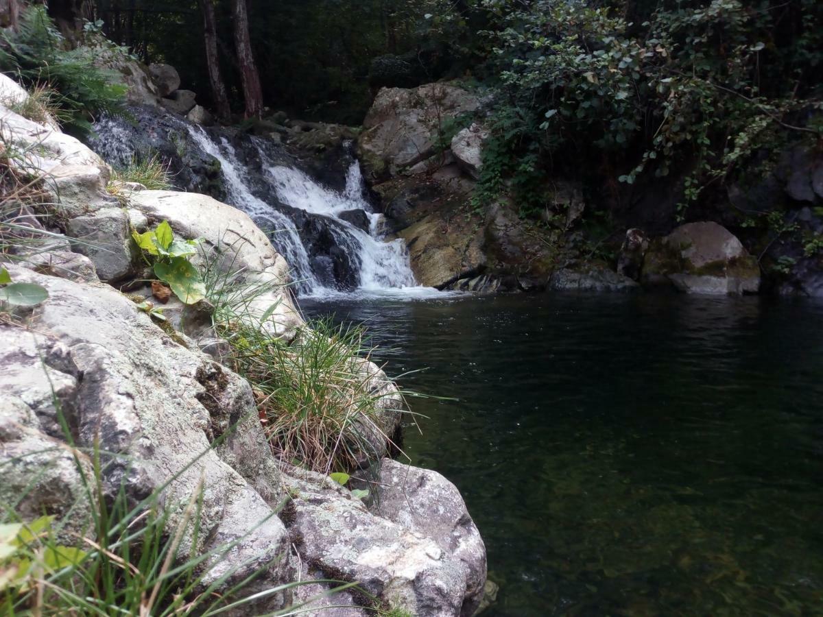 Villa Orka Pelister - Forest Zone Manastır Dış mekan fotoğraf
