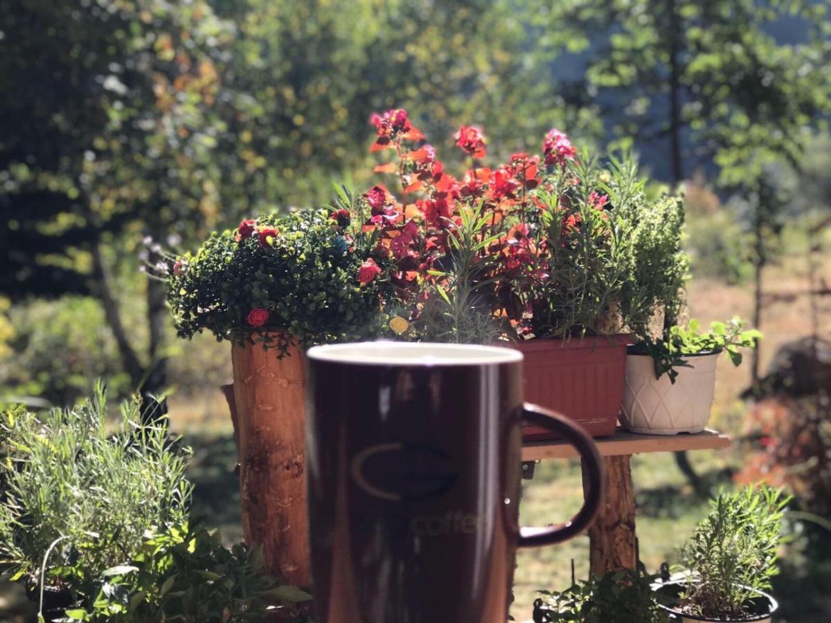 Villa Orka Pelister - Forest Zone Manastır Dış mekan fotoğraf
